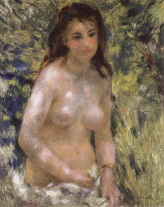 Pierre-Auguste Renoir Nude in the Sunlight Spain oil painting art